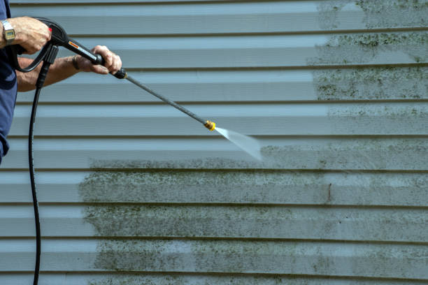 Best Roof Power Washing Services  in Marseles, IL